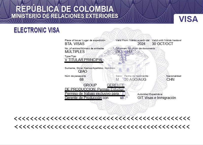 VISA VISITANTE PRESTADOR DE SERVICIOS_page-0001